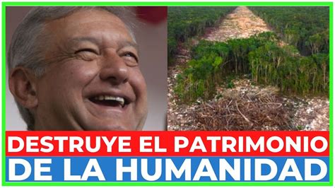 EL TREN MAYA ARRASA Con La CULTURA MAYA AMLO DESTRUYE LA SELVA MAYA