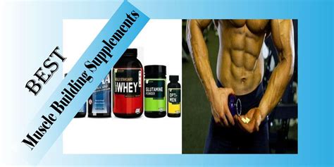 Best Muscle Building Supplements - Top 8 Picks & Buying Guide‎