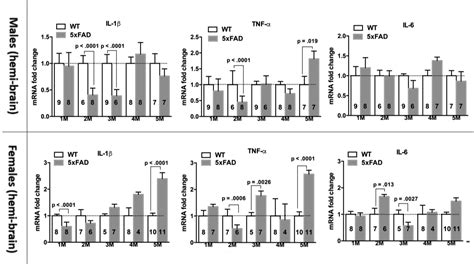 5xFAD Mice Display Sex Dependent Inflammatory Gene Induction During The