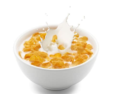 Corn Flakes With Milk Splash Stock Image Image Of Healthy Isolated 50318893