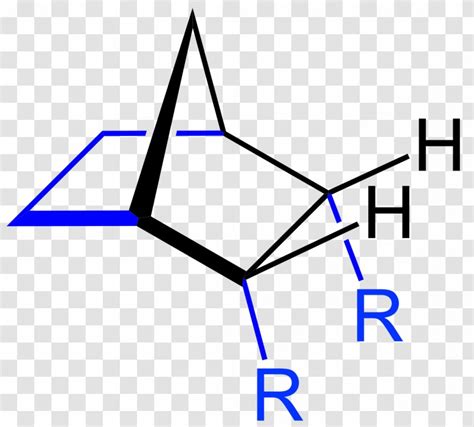 Borneol Enantiomer Camphor Terpene Bicyclic Molecule Diagram