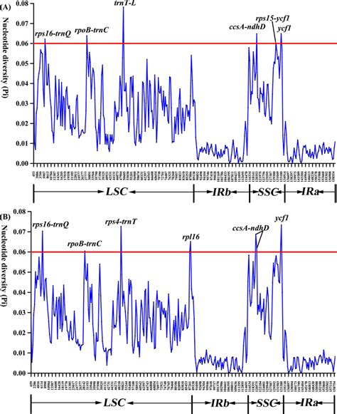 Sliding Window Analysis Of The 13 Cp Genomes Alignment Window Length