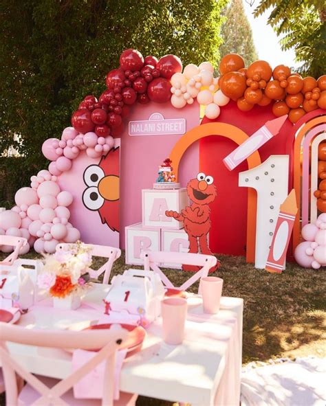 Elmo Theme First Birthday Pink Sesame Street Sesame Street Birthday Party Elmo Birthday