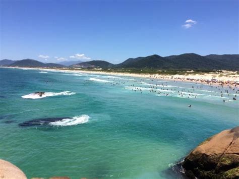 Praia Da Joaquina Florian Polis Atualizado O Que Saber Antes