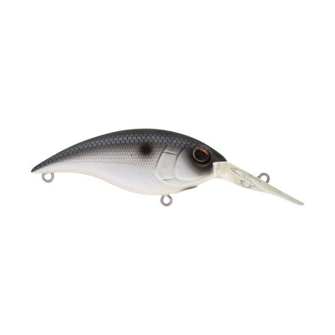 Berkley Money Badger Crankbaits American Legacy Fishing G Loomis