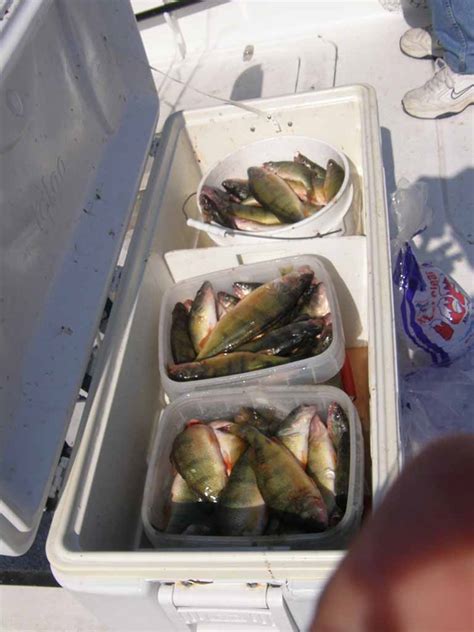 Lake Erie Fishing Gallery - West Sister Charter Fleet