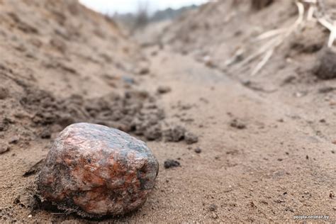 Белорусский янтарь