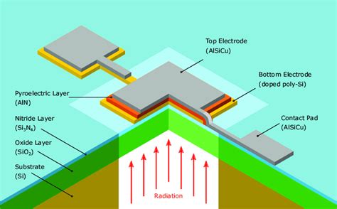 Quarter Cut Schematic Representation Of The Pyroelectric Detector