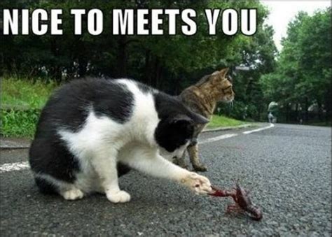 Nice to meet you - Meme Guy