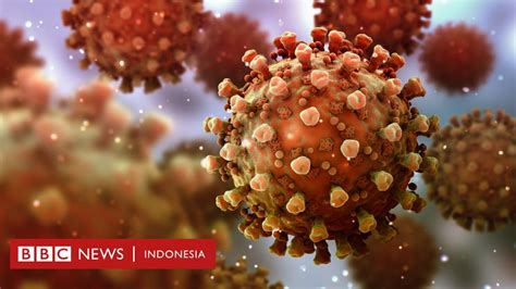 Virus Corona Bisakah Kita Terinfeksi Covid 19 Dua Kali Bbc News