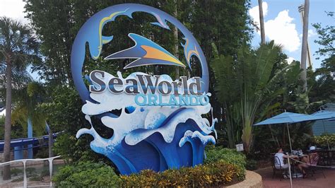 Major Mako Update From SeaWorld Orlando – Coaster Nation