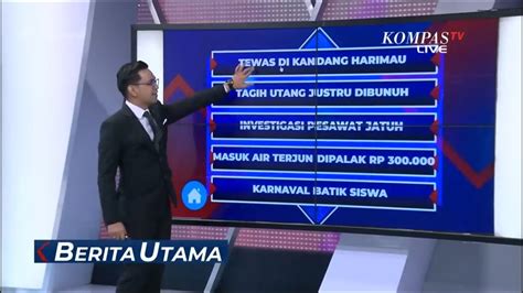 Penjaga Harimau Di Samarinda Tewas Diterkam Saat Hendak Memberi Makan