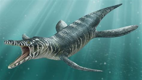 Kronosaurus Pictures & Facts - The Dinosaur Database