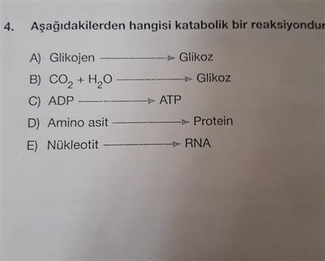 A A Dakilerden Hangisi Katabolik Bir Reaksiyondur Glikoz A