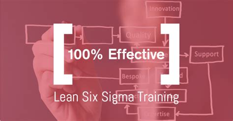 Why Choose 100 Effective Lean Six Sigma Training 100 Effective