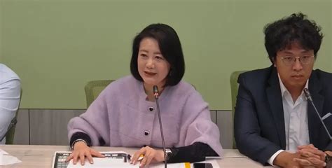 藍擬推中配入籍縮短年限 民進黨團：強力表達反對立場 政治快訊 要聞 Nownews今日新聞