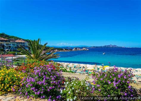 Meteo Olbia Domani Nuvoloso Con Rovesci E Vento Seguiti Da Piovaschi