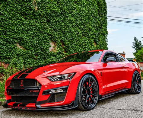 Ford Shelby Gt Signature Sv S