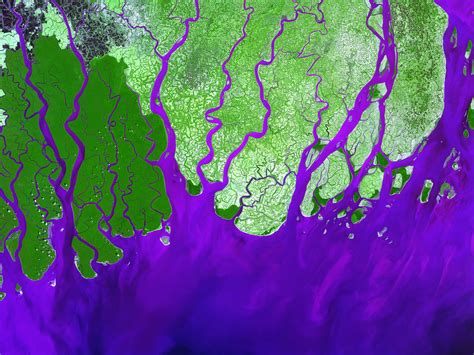 Ganges River Delta - NASA Science