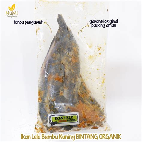 Jual 400g Ikan Lele Bumbu Kuning M Frozen Bintang Organik