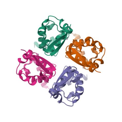 Rcsb Pdb S G Crystal Structure Of Kv T Domain