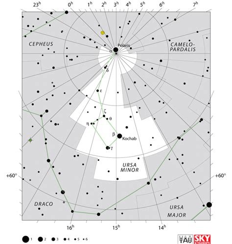 Ursa Minor Constellation Facts For Kids | What?, Importance, Size