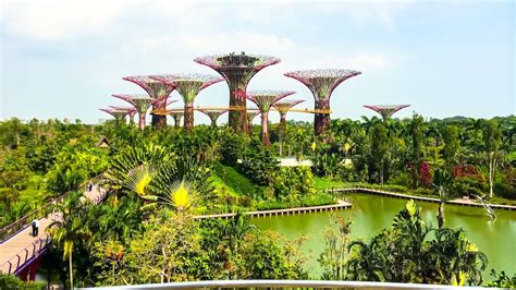 A Nature Lover's Guide to Singapore