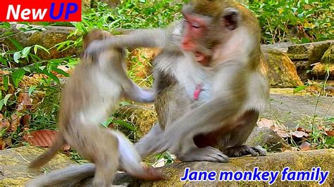 Jane Great Shakebody Beat Ng Jonna Get Out Her Back Very Sc Re Running