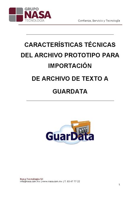 Layout Guar Data Importacion Txt V Caracter Sticas T Cnicas