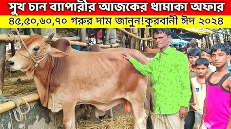 ৪৫৫০৬০৭০ থেকে ১ লাখদেড় লাখ টাকার কোরবানি গরুর দাম জানুন Gabtoli