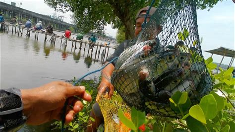 Tambak Mbah Sugeng Murah Meriah Hasil Melimpah Mancing Semarang