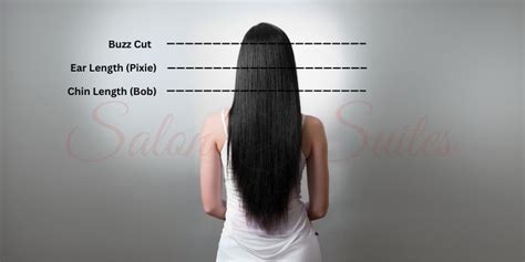 How To Make A Hair Length Chart For Your Salon An Overview