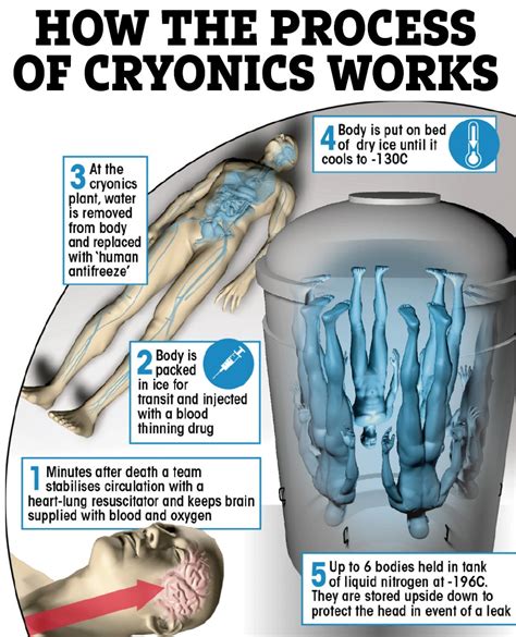 Inside US lab that's keeping frozen bodies and heads of 200 people in ...