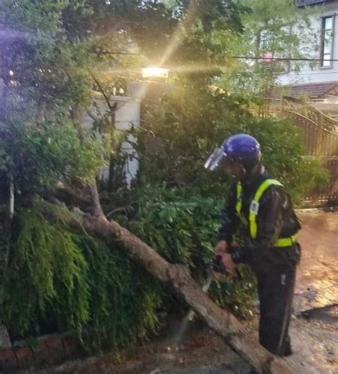 槟岛下骤雨吹狂风 多处倒树毁车损屋 国内 即时国内