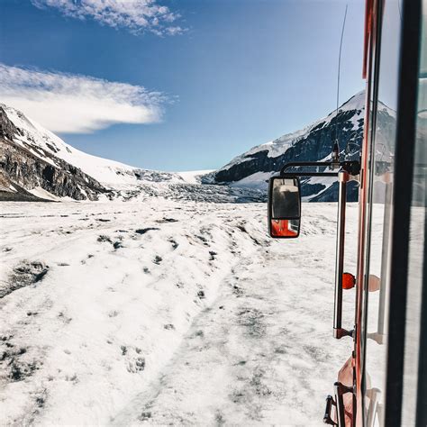 Getting up Close and Personal with Nature at Glacier View Lodge – Just ...