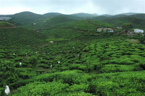 idukki-hill-station - Kerala Picnic Spot