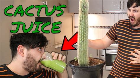 Drinking Cactus Juice Youtube