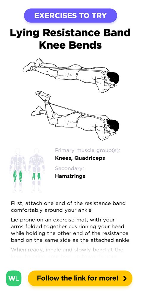 Prone Lying Resistance Band Knee Bends WorkoutLabs Exercise Guide