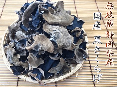 国産 黒木耳 きくらげ 静岡県産 キクラゲ 100g 無農薬 放射能検査済 何個でも送料無料 最安 激安 ビタミンd 食物繊維 豊富 ネコポス