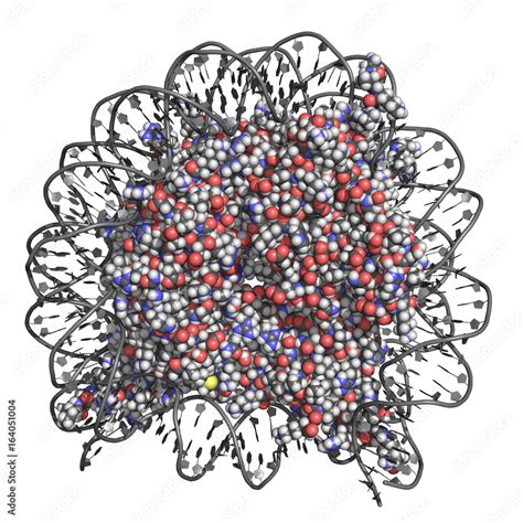 Nucleosome is a basic unit of DNA packaging in eukaryotic cells, with ...