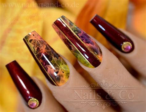 Schließen Prognose Es nailart herbst Joint Hobby Lose