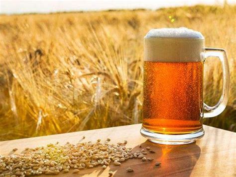 Premisas Para Disfrutar De Tu Cerveza Y Aprovechar Sus Propiedades