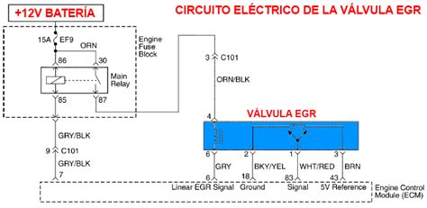 Válvula EGR Valvula Sistema electrico Circuito