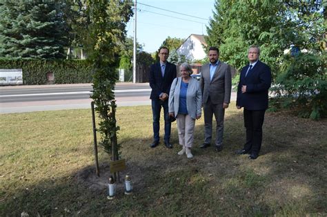 Rocznica Zag Ady Ludno Ci Ydowskiej Legionowskiego Getta Muzeum