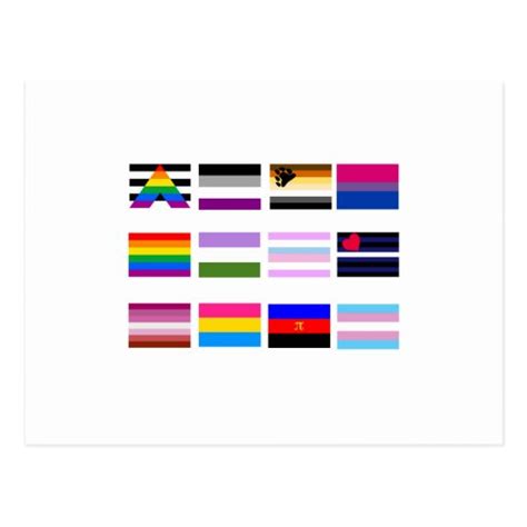 All Pride Flags Postcard Zazzle