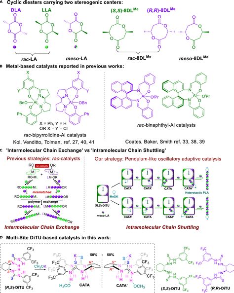 Oscillatory Adaptive Catalysis Intramolecular Chain Shuttling