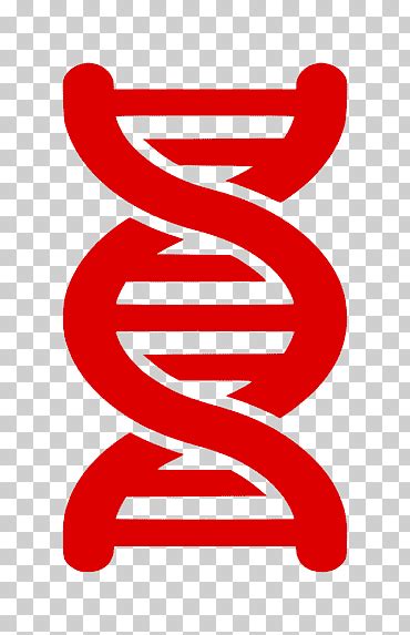 Dna Png Klipartz