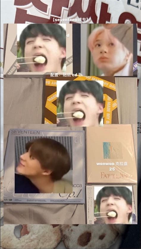 SEVENTEEN WONWOO UNSEALED FACE THE SUN CARAT VER UNSEALED Hobbies