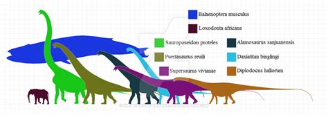 Supersaurus Size Comparison