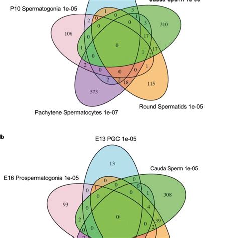 Dmr Developmental Stage Overlaps The Dmrs For The Different